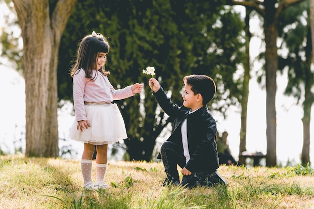 Premium Photo | Kneeling boy proposing with a flower - boy proposing ...