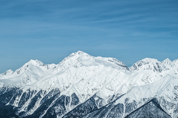 Premium Photo Krasnaya Polyana Mountains