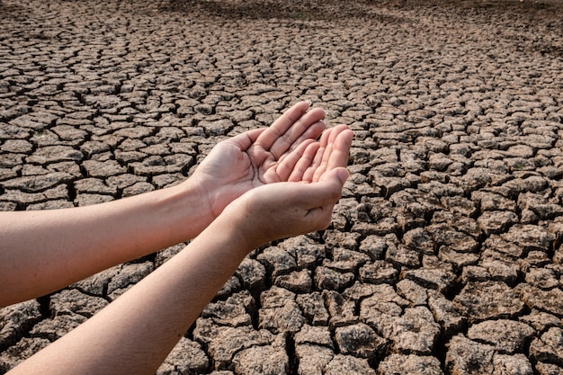 乾燥した地域の風景の中の雨水 ひび割れ 乾燥した土壌を待っている女性の手 プレミアム写真