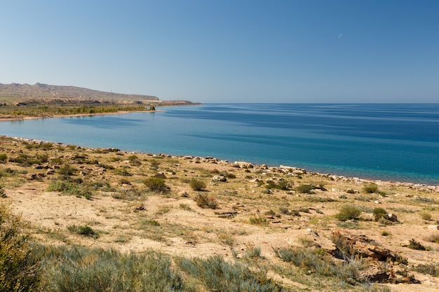 Download Free Lake Issyk Kul Tosor Jeti Oguz District Kyrgyzstan Empty Beach Use our free logo maker to create a logo and build your brand. Put your logo on business cards, promotional products, or your website for brand visibility.