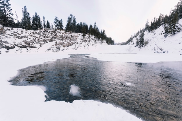 Free Photo | Lake in snowy forest