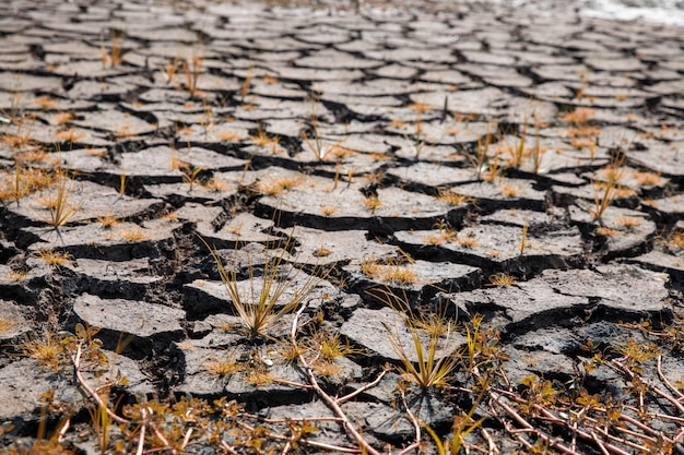 Premium Photo | Land with dry and cracked ground. global warming