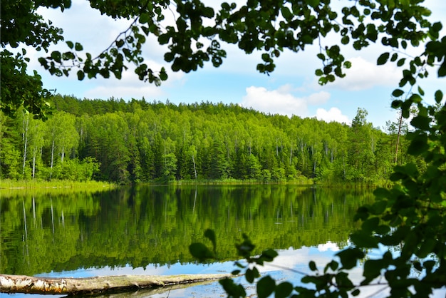 Premium Photo | Landscape blue lake in the summer forest