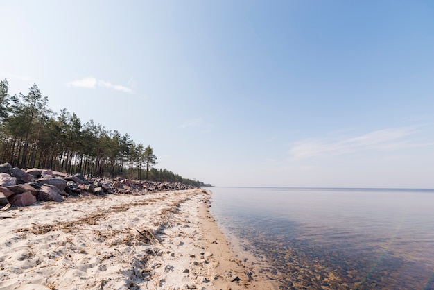 Landscape of paradise tropical island beach with trees against blue sky Free Photo