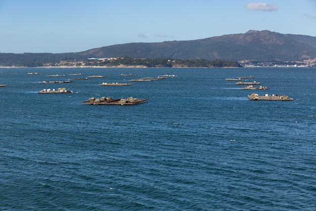 Landscape Of The Ria De Arousa With Numerous Platforms For The
