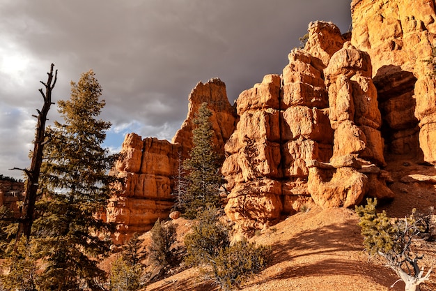 Landscape Of Rock Formations, Landscape Rock Utah