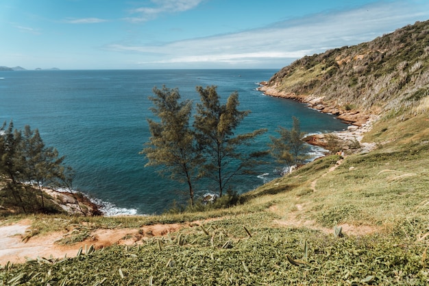 Landscape of the sea surrounded by hills covered in greenery in rio de janeiro in brazil Free Photo