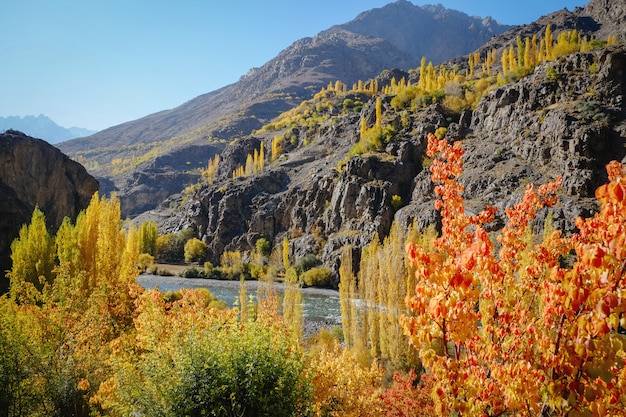 Premium Photo Landscape View Of Colorful Trees In Autumn Against Hindu Kush Mountain Range