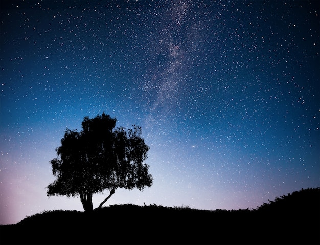 夜の星空と丘の上の木のシルエットのある風景します 孤独な木 流れ星と天の川 無料の写真