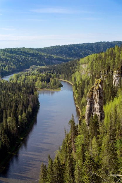 Premium Photo | Landscape wooded canyon of the northern river with ...