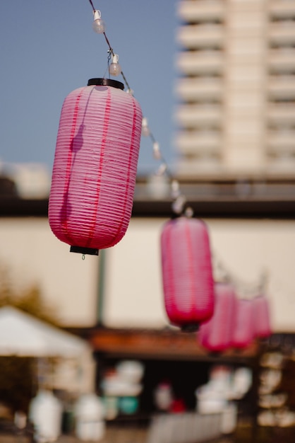 Download 1 000 Hanging Lanterns Pictures