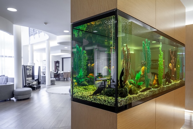 Premium Photo Large Built In Aquarium With Fish And Plants In Stylish Living Room