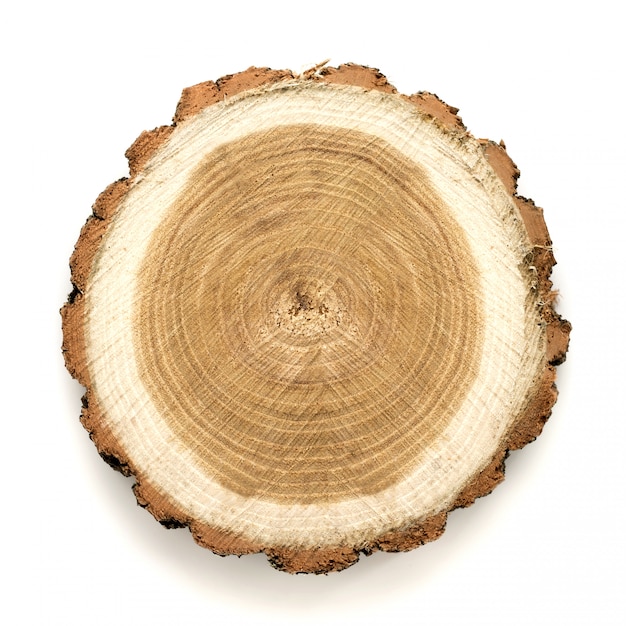 木のリングのテクスチャパターンと亀裂の断面の大きな円形の部分 プレミアム写真