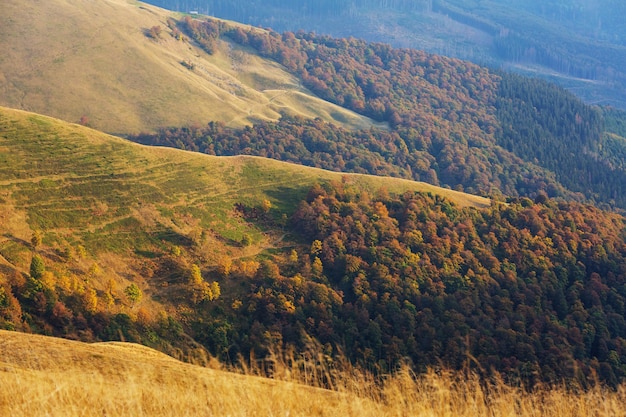 Premium Photo | Late autumn season in mountains