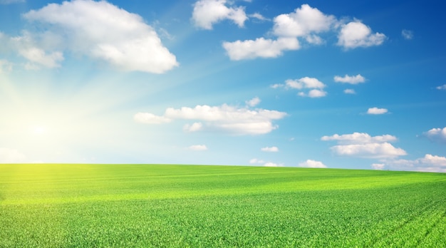 Premium Photo | Lawn and cloudy sky.