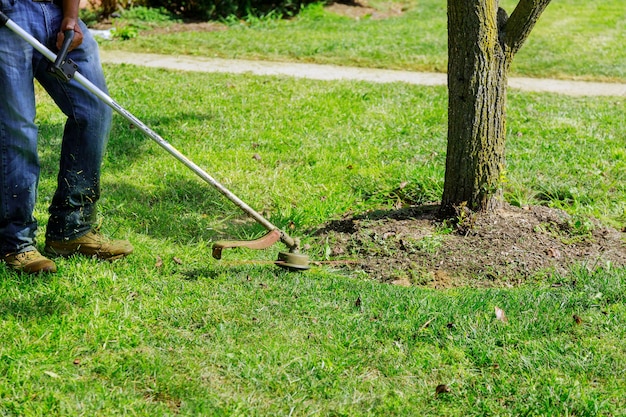 Premium Photo | A lawn mower mows fresh, green grass on the lawn near ...