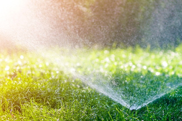 lawn sprinkler design software free download