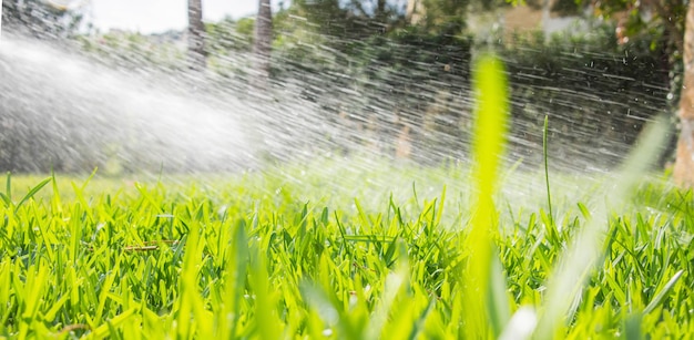 Premium Photo | Lawn water sprinkler spraying water over lawn green ...