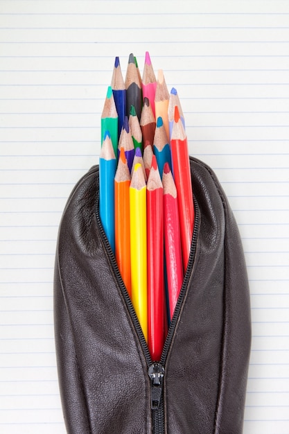 pencil case with pencils