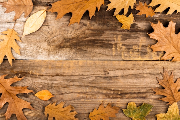 Leaves frame on wooden background Photo | Free Download