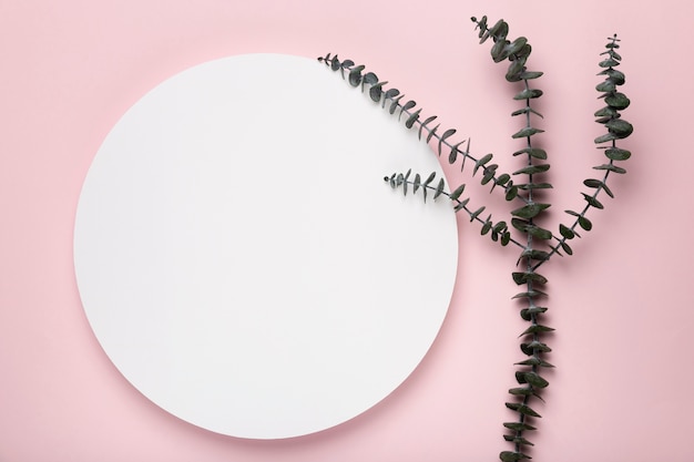 Leaves on pink background with mock-up Free Photo