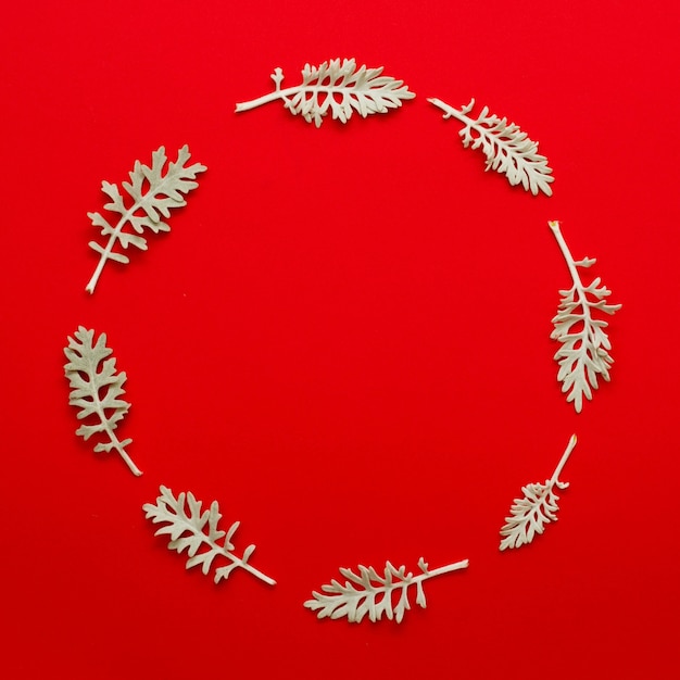 Leaves twig arranged in circular frame on bright red background Free Photo
