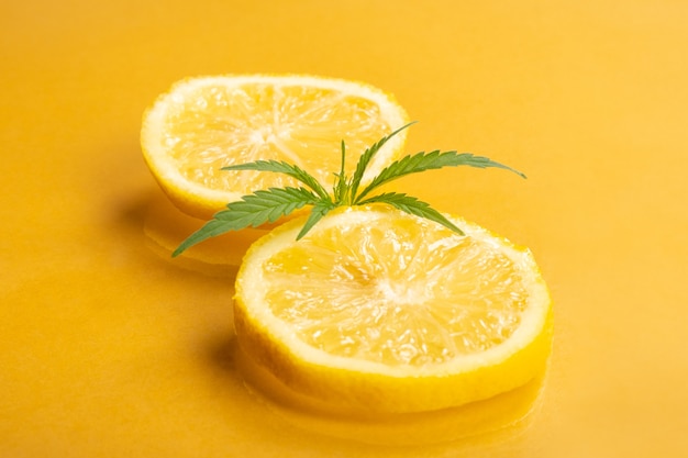 лимонная конопля