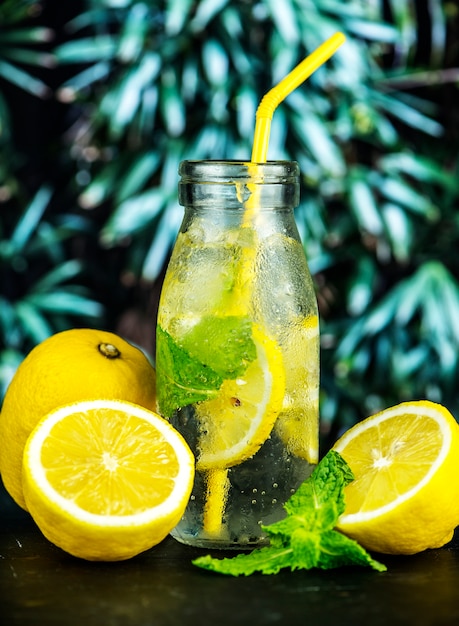 Free Photo | Lemon mint infused water recipe