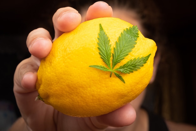 Лимон на коноплю марихуана от паркинсона