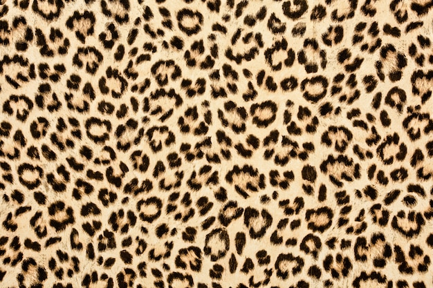 Leopard skin texture | Premium Photo