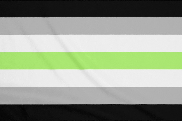 Premium Photo Lgbt Agender Community Flag