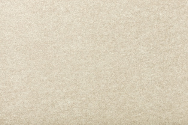 Premium Photo | Light beige matt suede fabric closeup. velvet texture ...