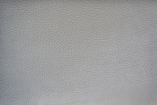 light grey leather paint