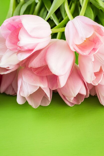 Premium Photo Light Pink Tulips On A Green Background 