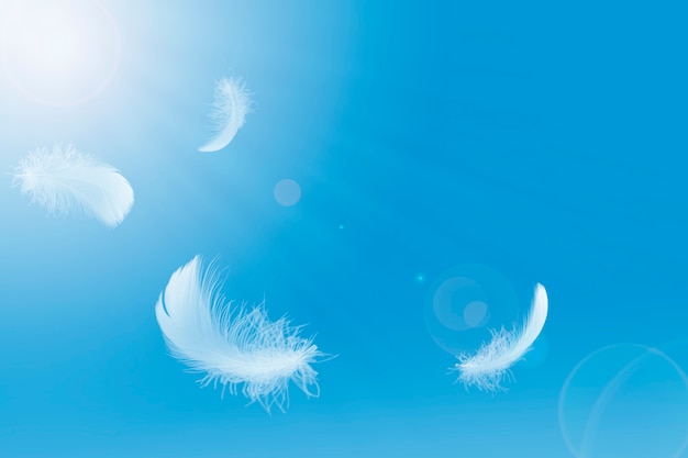 Premium Photo | Light and soft fluffy white feathers floating in the sky.