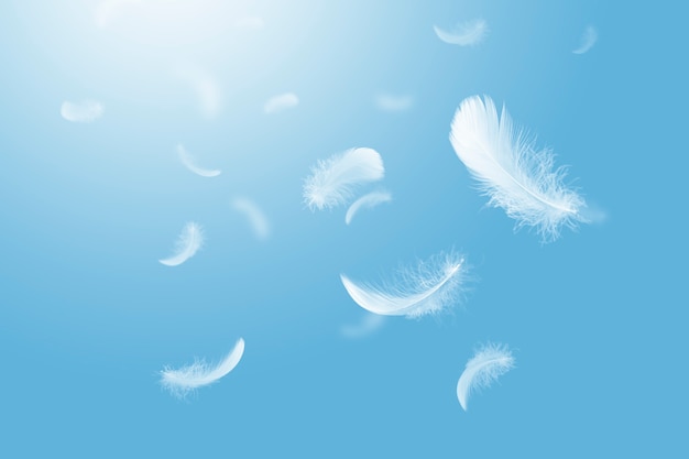 Premium Photo | Light and soft group white feathers floating in the sky