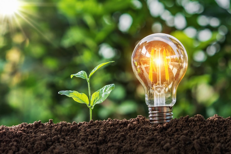  Lightbulb with small tree on soil in nature and sunshine. concept saving Premium Photo