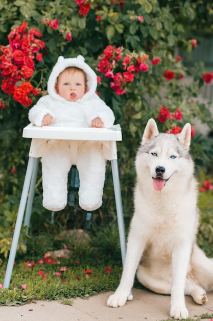 husky baby costume