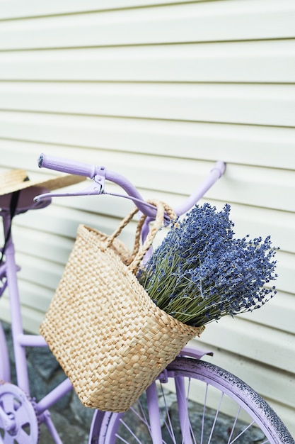 lilac bike with basket