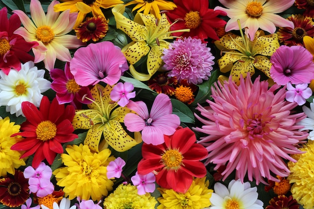 Premium Photo | Lily and dahlia, daisy and phlox, view from above.