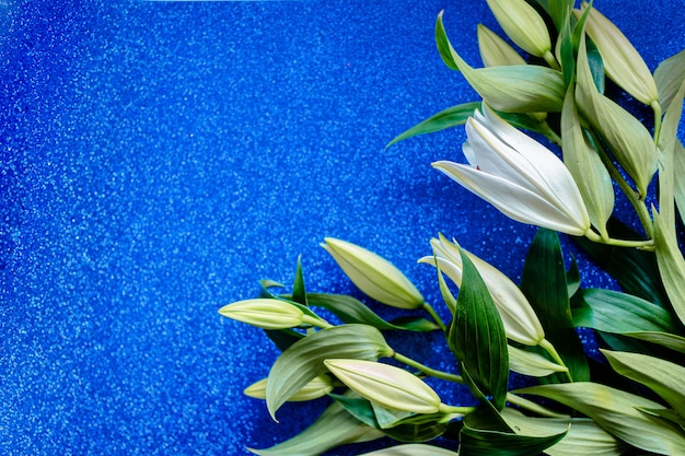 Premium Photo | Lily flower isolated on a classic blue background.