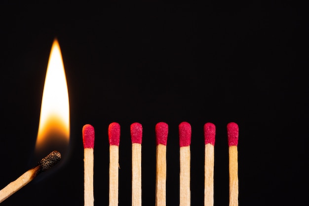 Premium Photo | Lit match next to a row of unlit matches. the passion ...