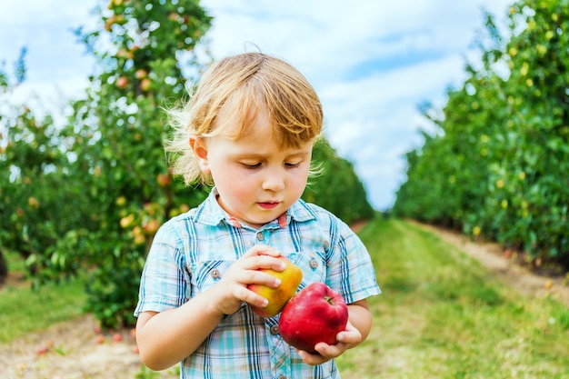 Premium Photo | Little boy of two yers old staying in apple orchard and ...