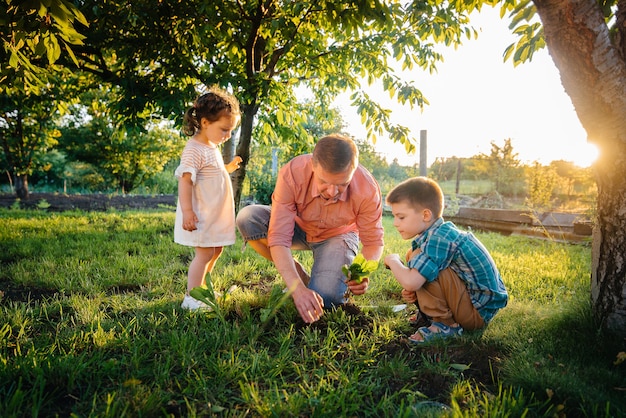 Premium Photo | Little brother and sister are planting seedlings with ...