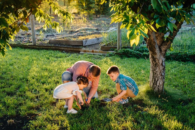 Premium Photo | Little brother and sister are planting seedlings with ...