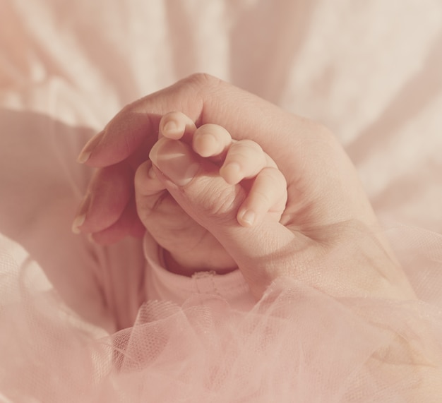 Premium Photo Little Cute Baby Hands In Mother Hand Pink Background Pastel