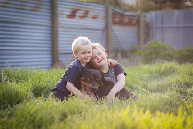 Rottweilers