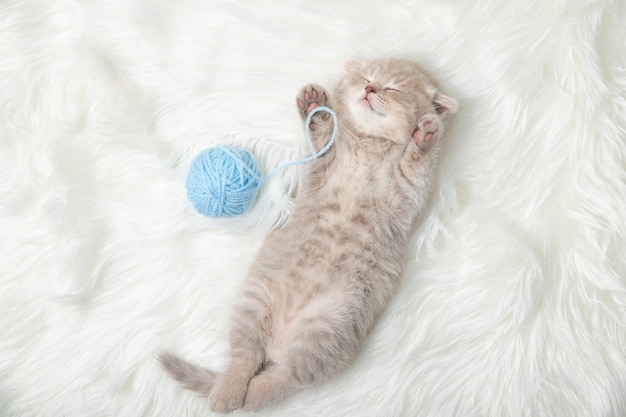 Little ginger kitten sleeps on a white carpet. sleep. relaxation Premium Photo