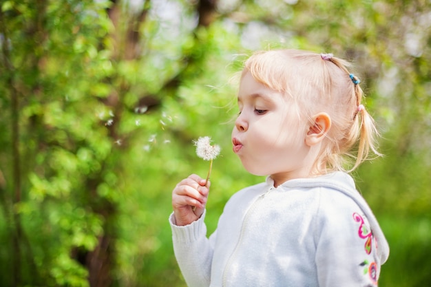 Premium Photo | Little girl blowing a dandelion