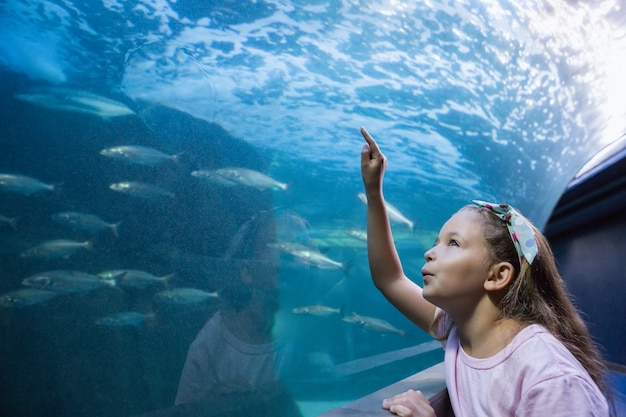 Premium Photo | Little girl looking at fish tank